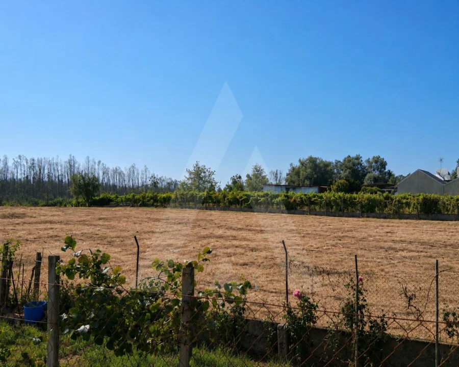 Terreno para Venda em Macinhata do Vouga Foto 10