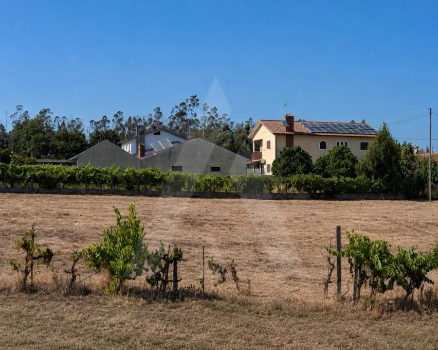 Terreno para Venda em Macinhata do Vouga Foto 11