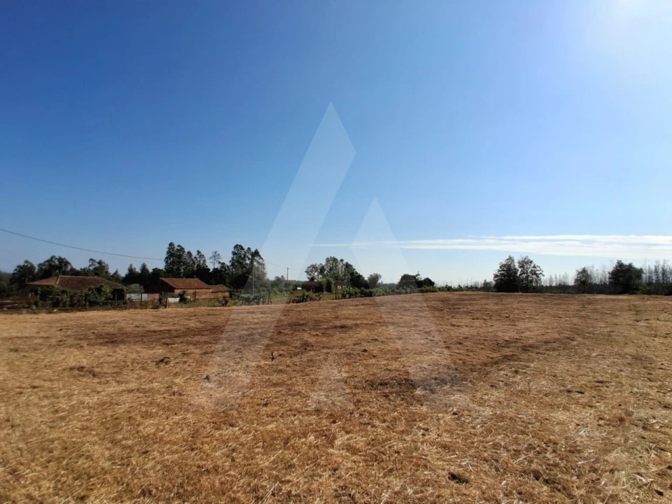 Terreno para Venda em Macinhata do Vouga Foto 1