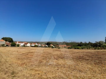 Terreno para Venda em Macinhata do Vouga