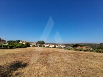 Terreno para Venda em Macinhata do Vouga