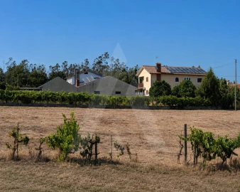Terreno para Venda em Macinhata do Vouga
