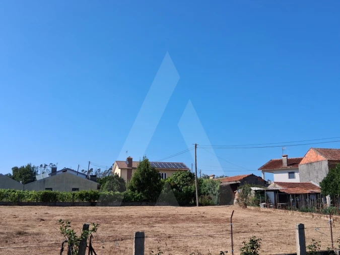 Terreno para Venda em Macinhata do Vouga Foto 4