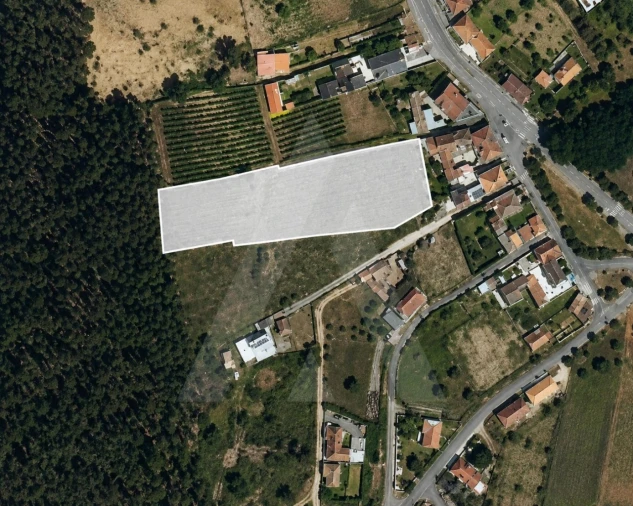 Terreno para Venda em Macinhata do Vouga Foto 2