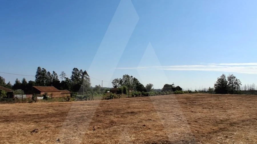 Terreno para Venda em Macinhata do Vouga