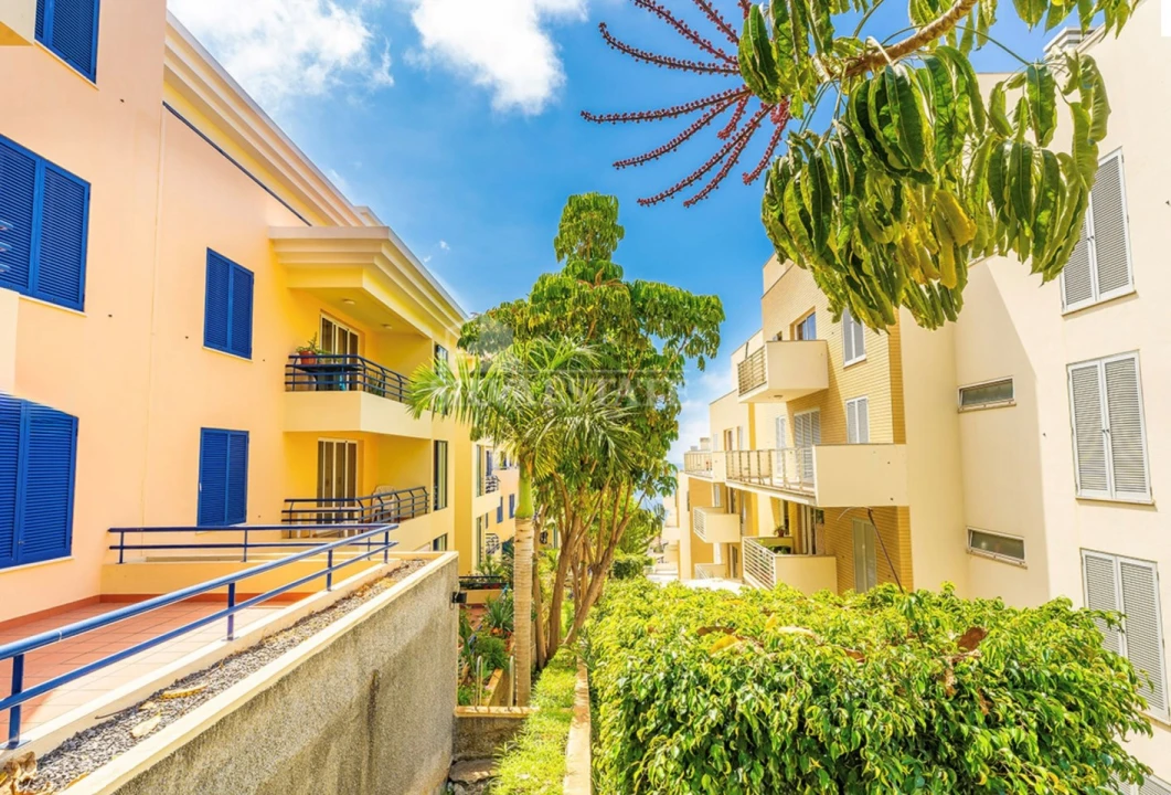 Apartamento T1 para Arrendamento em São Martinho Foto 9