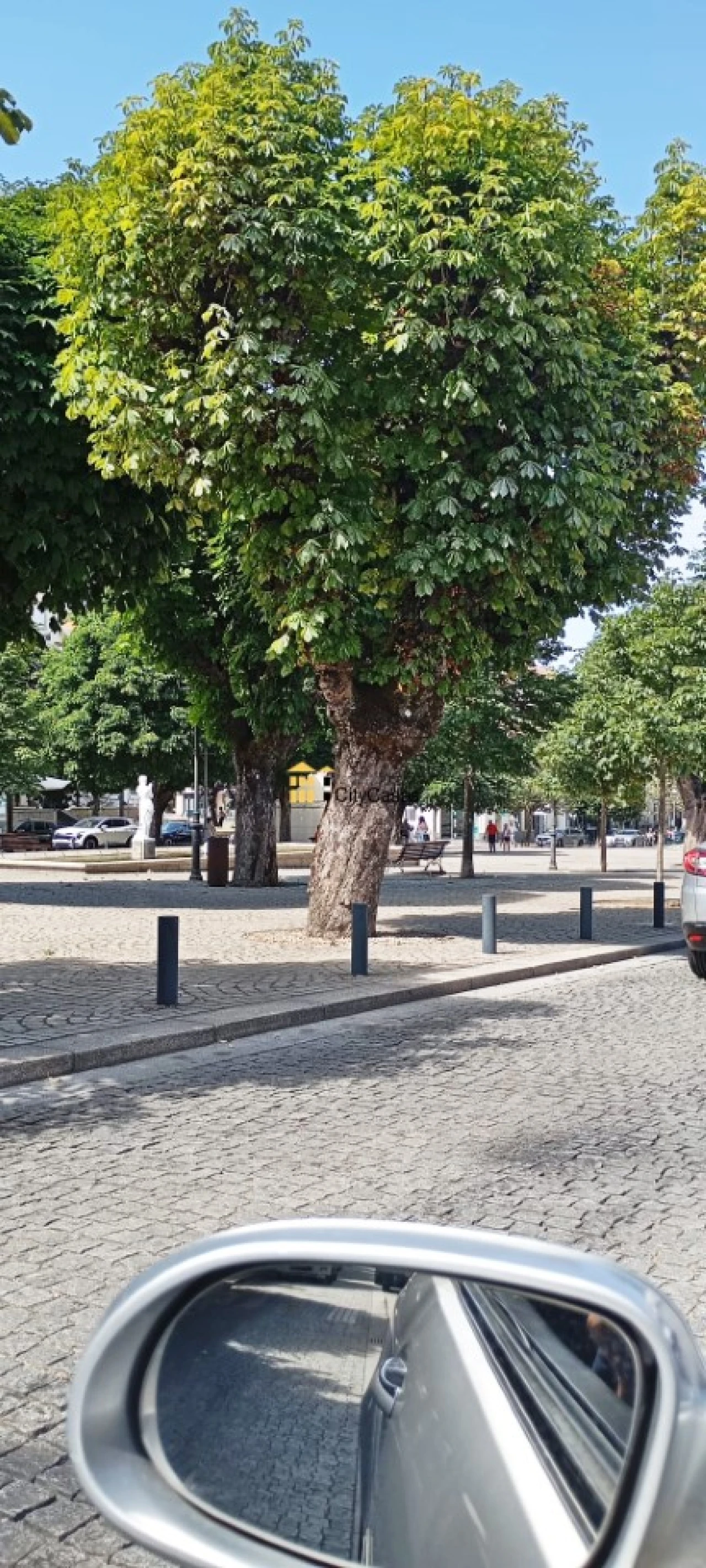 Loja para Venda em Lamego (Almacave e Sé) Foto 11