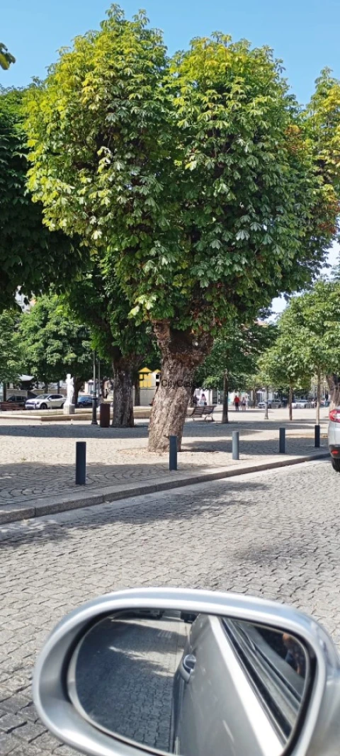 Loja para Venda em Lamego (Almacave e Sé)