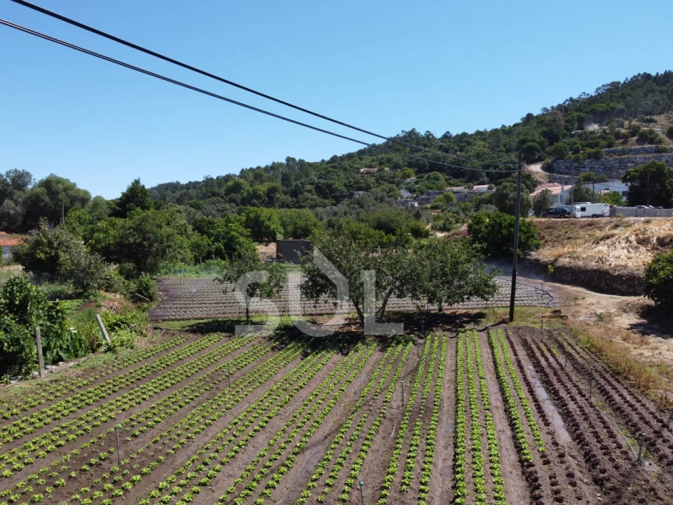 Terreno Agricola ou Rústico para Venda em Monchique Foto 5