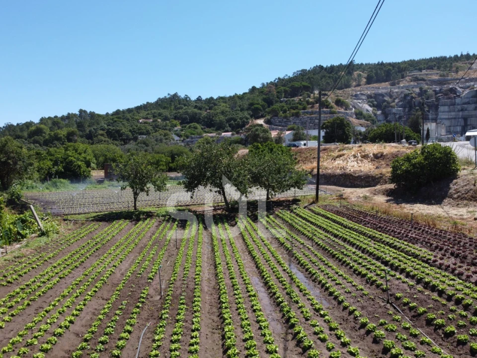 Terreno Agricola ou Rústico para Venda em Monchique Foto 6