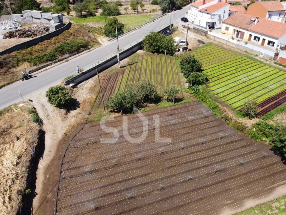 Terreno Agricola ou Rústico para Venda em Monchique Foto 10