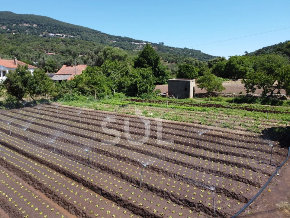 Terreno Agricola ou Rústico para Venda em Monchique Foto 12