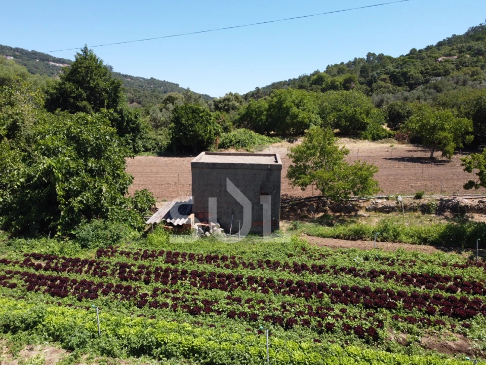 Terreno Agricola ou Rústico para Venda em Monchique Foto 13