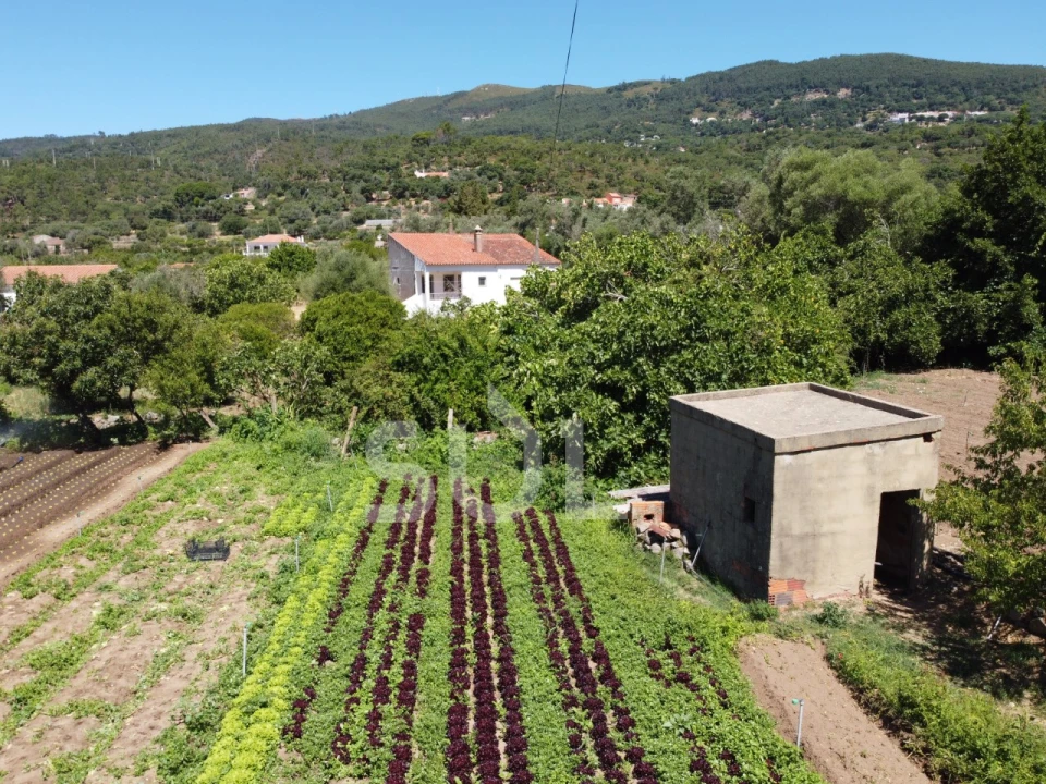 Terreno Agricola ou Rústico para Venda em Monchique Foto 14