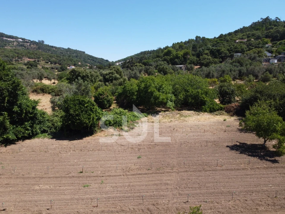 Terreno Agricola ou Rústico para Venda em Monchique Foto 15