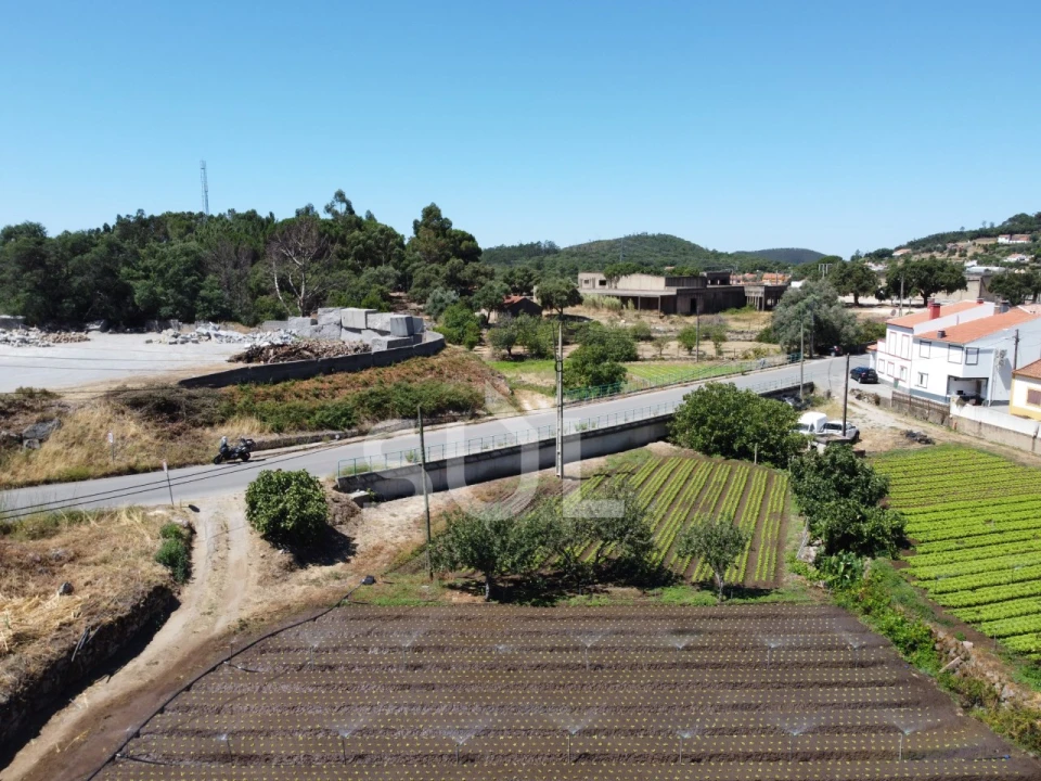Terreno Agricola ou Rústico para Venda em Monchique Foto 16