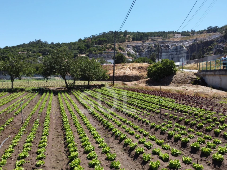 Terreno Agricola ou Rústico para Venda em Monchique Foto 18