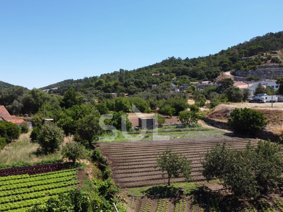 Terreno Agricola ou Rústico para Venda em Monchique Foto 19