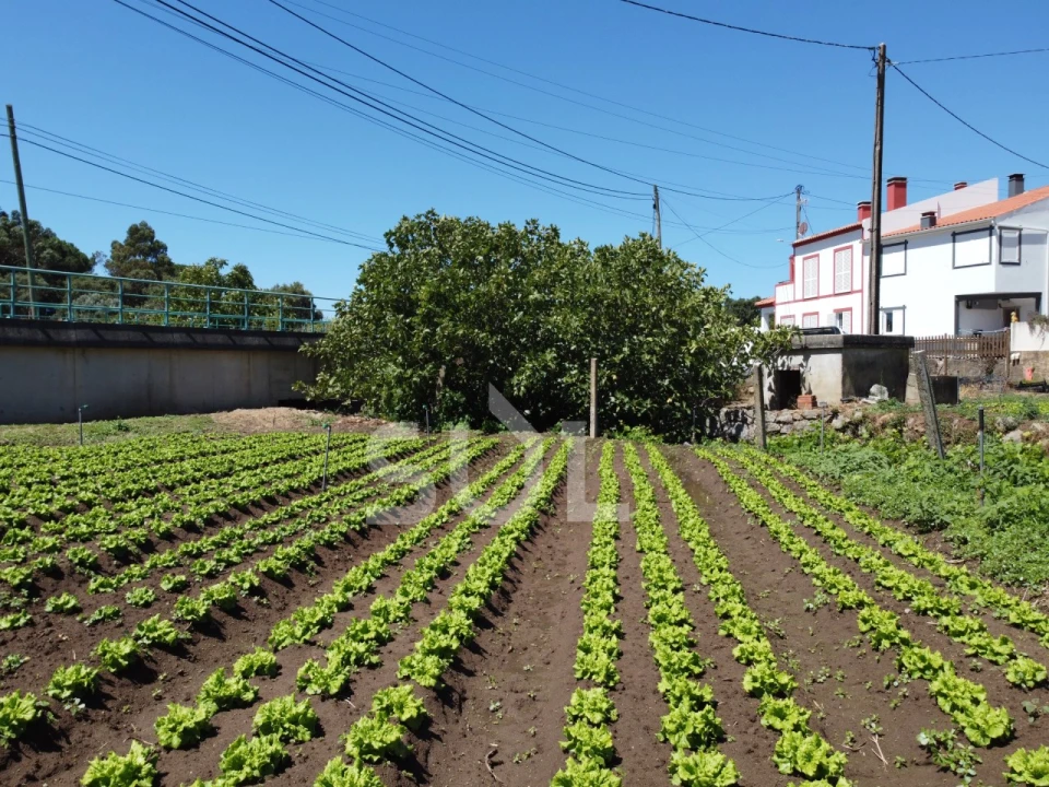 Terreno Agricola ou Rústico para Venda em Monchique Foto 20
