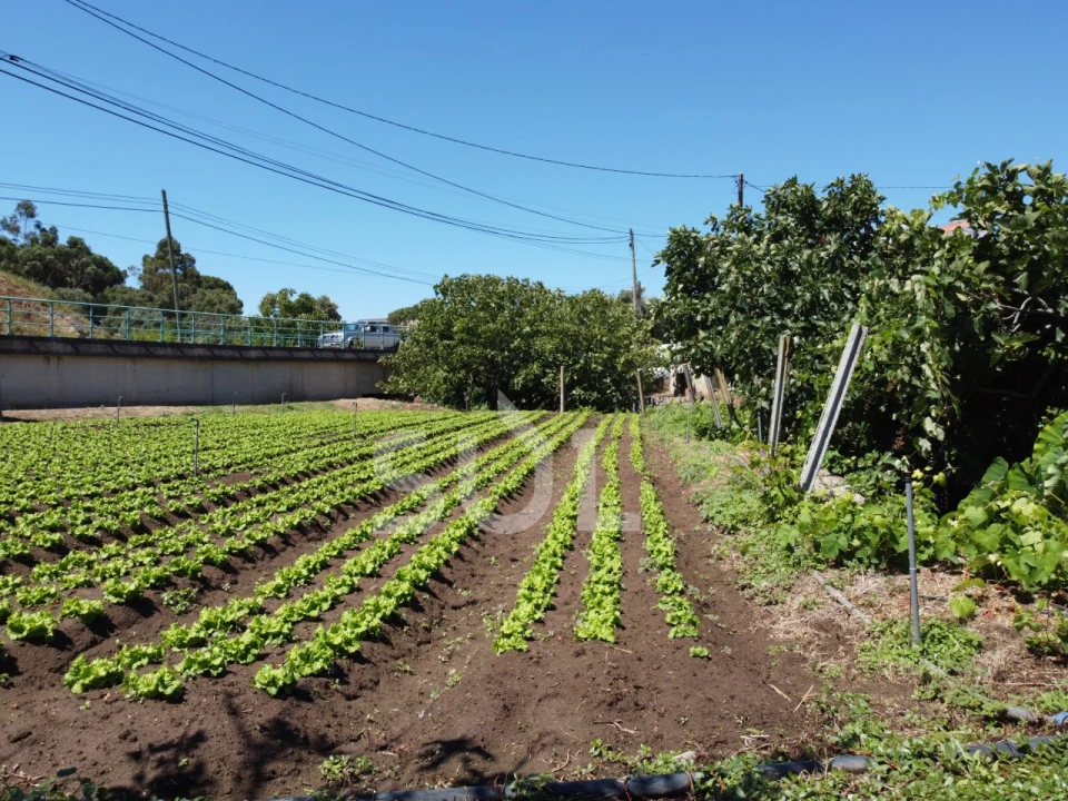 Terreno Agricola ou Rústico para Venda em Monchique Foto 21