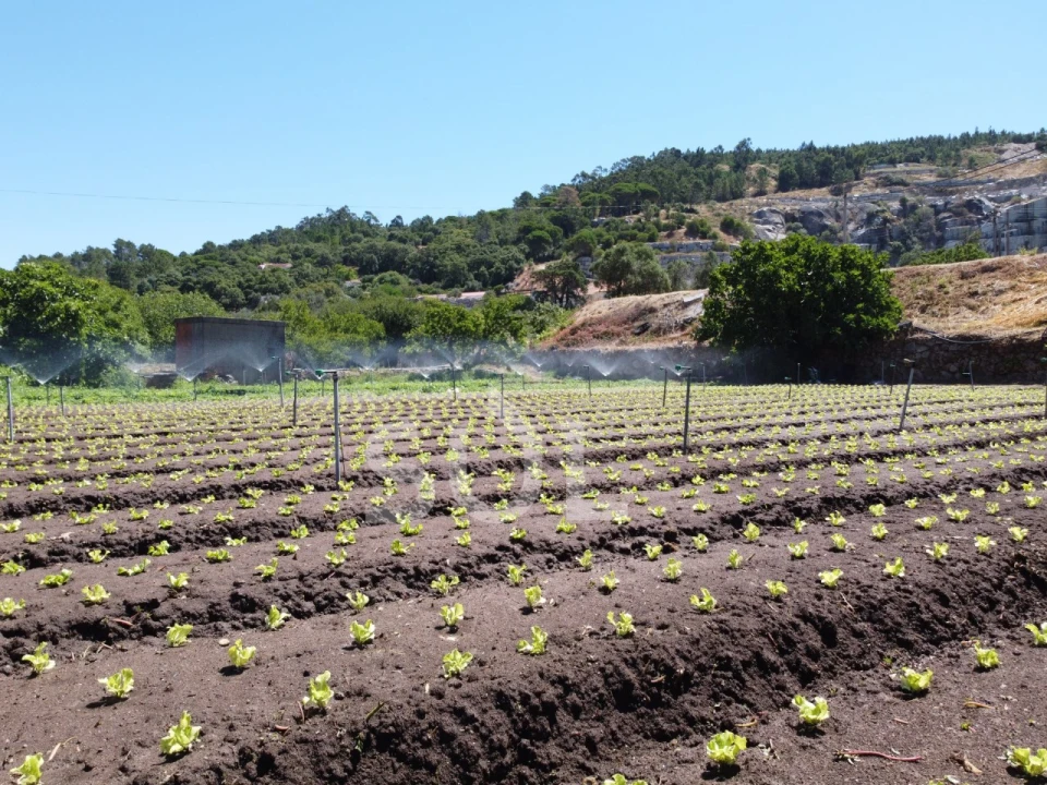 Terreno Agricola ou Rústico para Venda em Monchique Foto 22