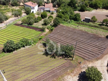Terreno Agricola ou Rústico para Venda em Monchique