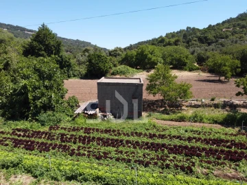 Terreno Agricola ou Rústico para Venda em Monchique
