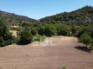 Terreno Agricola ou Rústico para Venda em Monchique