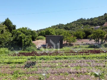 Terreno Agricola ou Rústico para Venda em Monchique