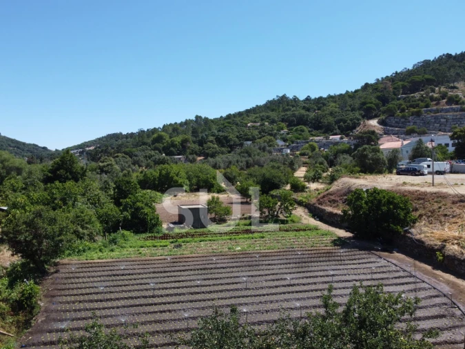 Terreno Agricola ou Rústico para Venda em Monchique Foto 7