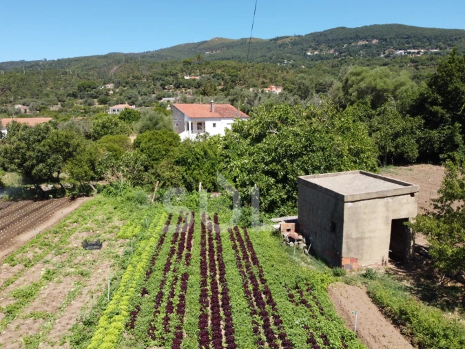 Terreno Agricola ou Rústico para Venda em Monchique Foto 14