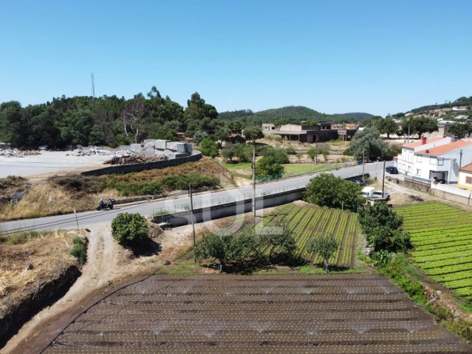 Terreno Agricola ou Rústico para Venda em Monchique Foto 16