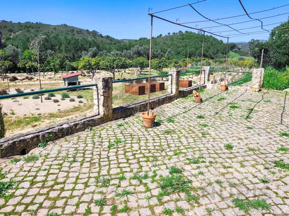 Quinta T2 para Venda em Mexilhoeira Grande Foto 18