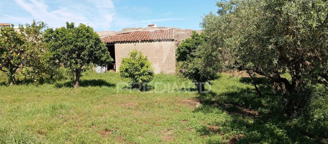 Moradia T2 para Venda em Espírito Santo, Nossa Senhora da Graça e São Simão Foto 5