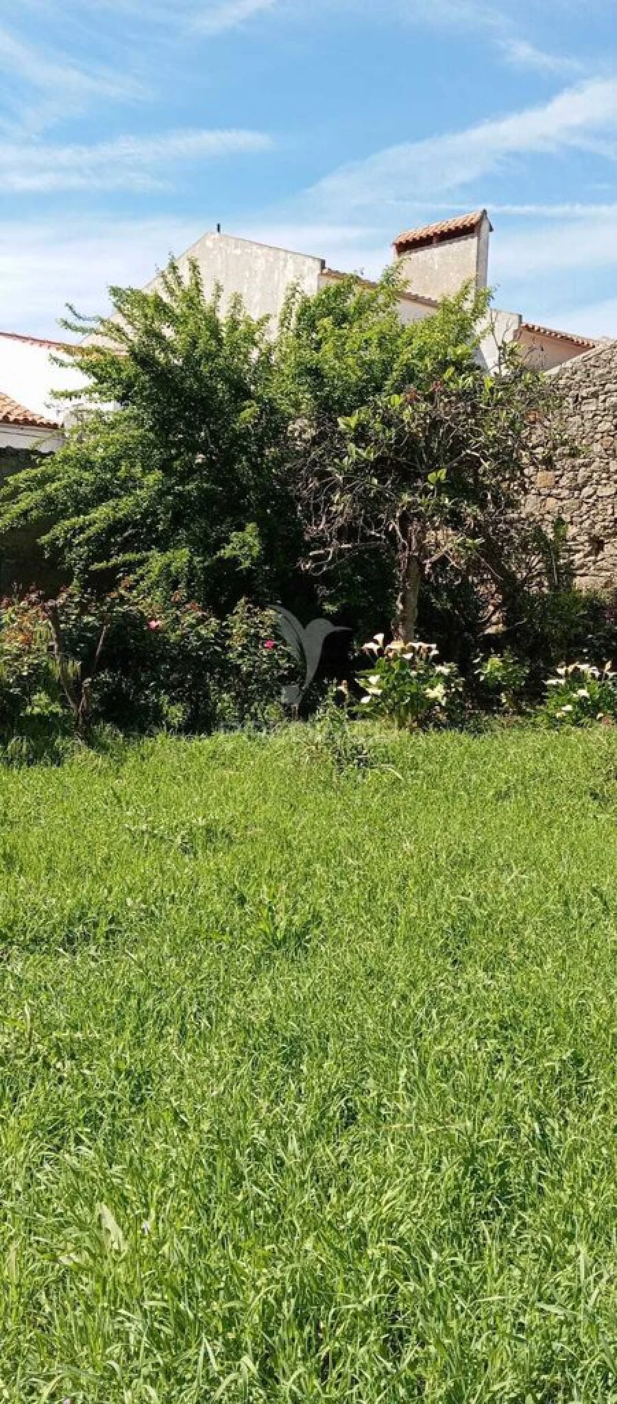 Moradia T2 para Venda em Espírito Santo, Nossa Senhora da Graça e São Simão Foto 8
