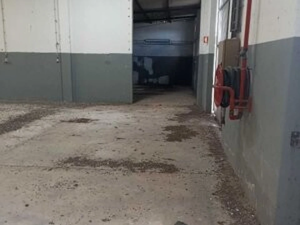 Armazém para Arrendamento em Santa Maria e São Miguel, São Martinho, São Pedro Penaferrim Foto 5
