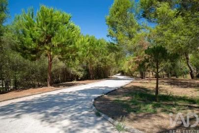 Apartamento T2 para Venda em Cascais e Estoril