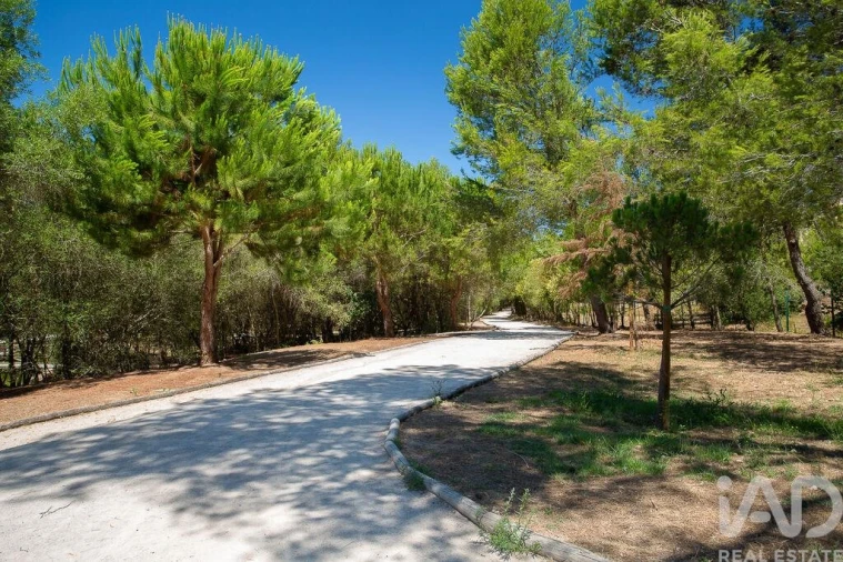 Apartamento T2 para Venda em Cascais e Estoril Foto 28