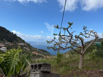 Moradia T1 para Venda em Campanario
