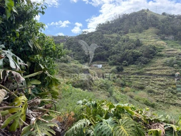 Moradia T1 para Venda em Campanario