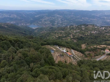 Quinta para Venda em Anreade e São Romão de Aregos
