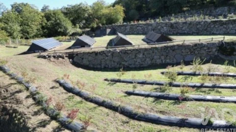 Quinta para Venda em Anreade e São Romão de Aregos