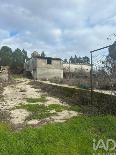 Armazém para Venda em Fornos de Maceira Dão