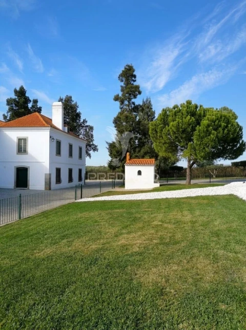 Quinta T4 para Venda em Pedrogão