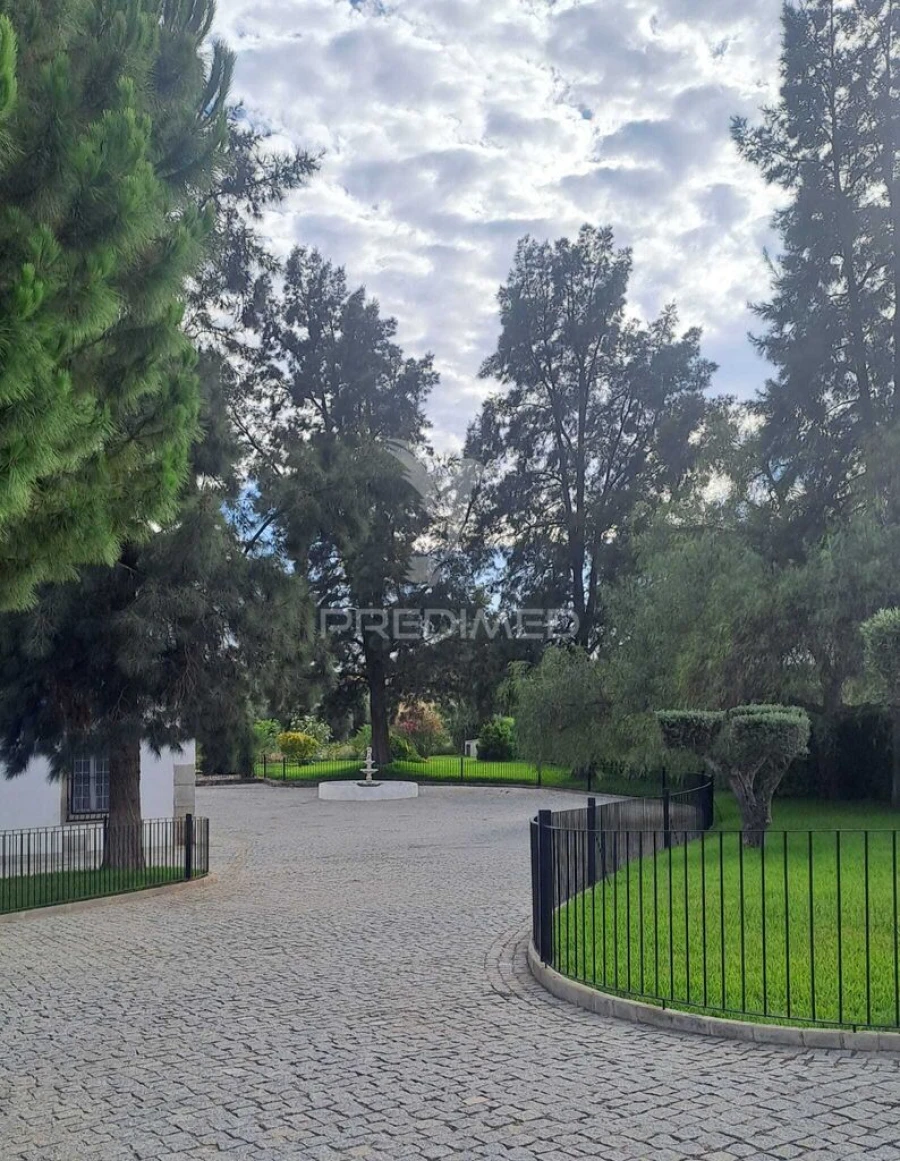 Quinta T4 para Venda em Pedrogão Foto 10