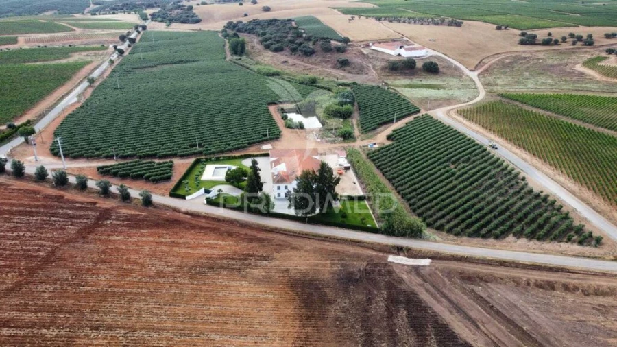 Quinta T4 para Venda em Pedrogão Foto 2
