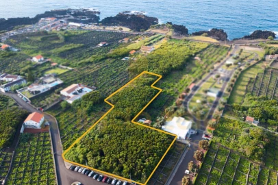 Terreno para Venda em Biscoitos