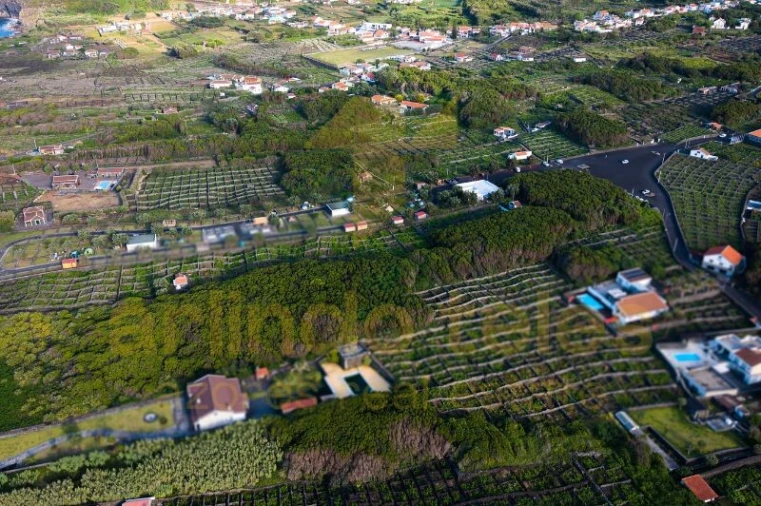 Terreno para Venda em Biscoitos Foto 6