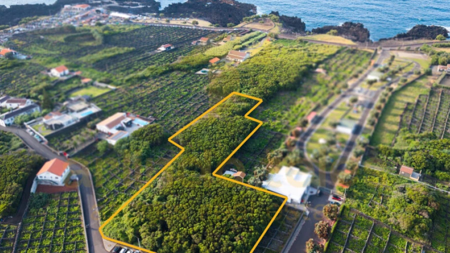 Terreno para Venda em Biscoitos
