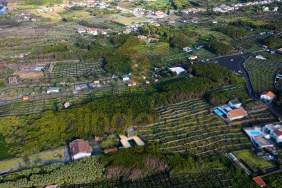 Terreno para Venda em Biscoitos
